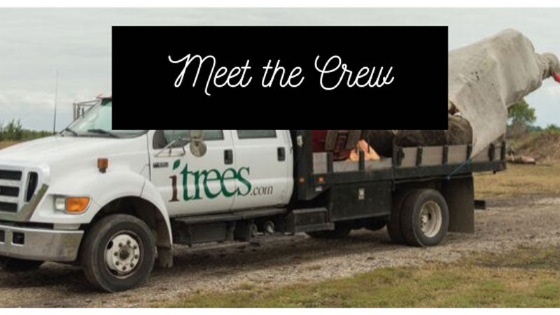 Meet the iTrees.com Crew