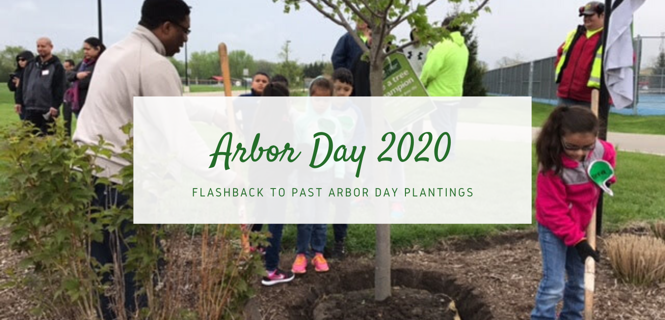 Arbor Day 2020: Flashback to Past Arbor Day Plantings