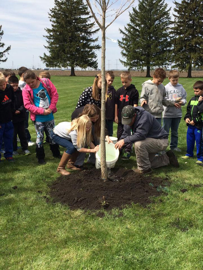 Annual Arbor Day Projects