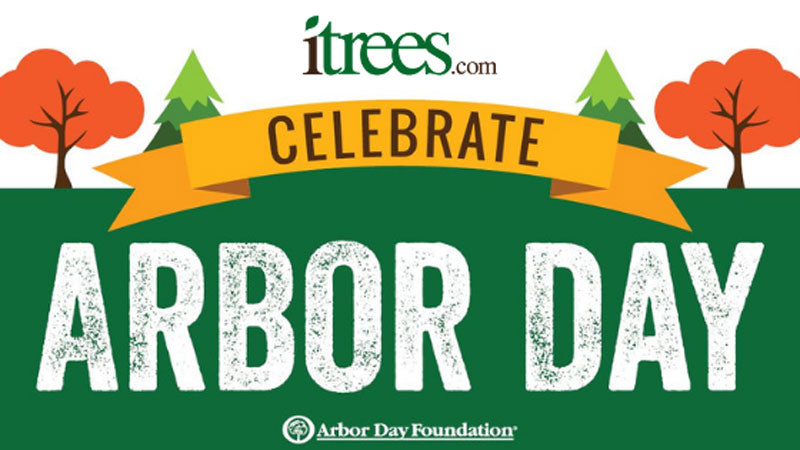 What are you doing on Arbor Day?