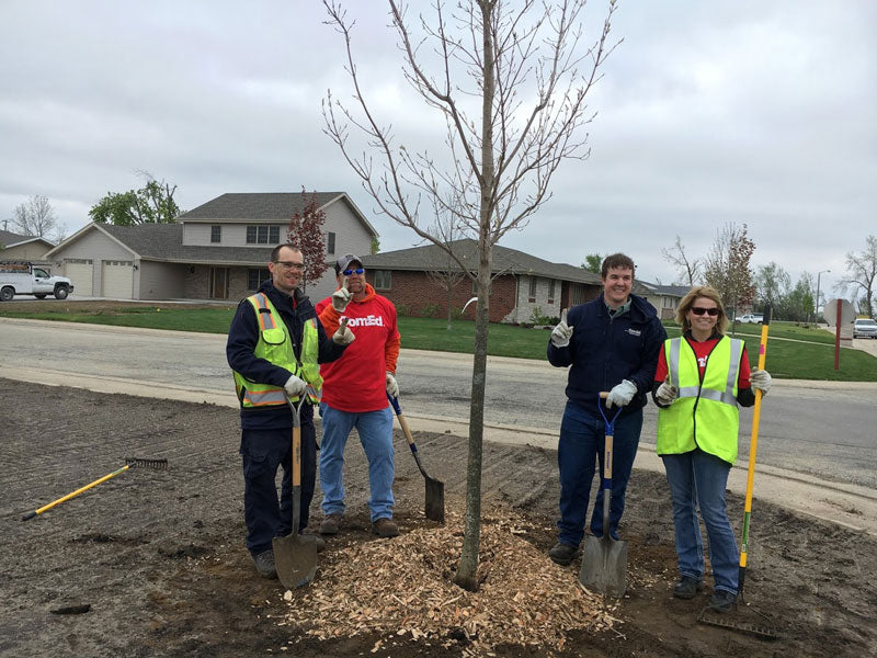 Partnering With ComEd to Replant Coal City