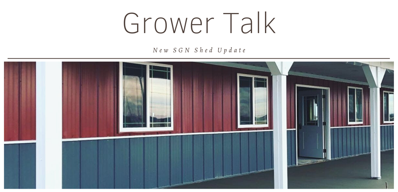 Grower Talk: New SGN Shed Update
