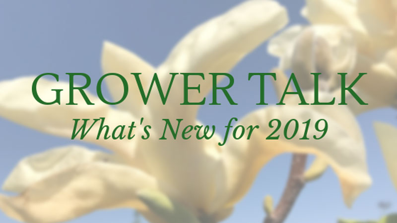 Grower Talk: What's New for 2019