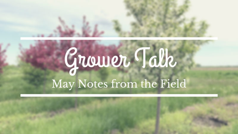 Grower Talk: May Notes from the Field