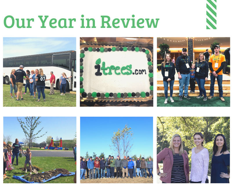 iTrees.com's Year in Review