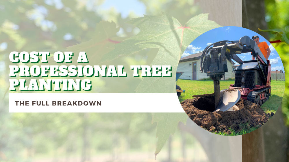How Much Does a Professional Tree Planting Cost?