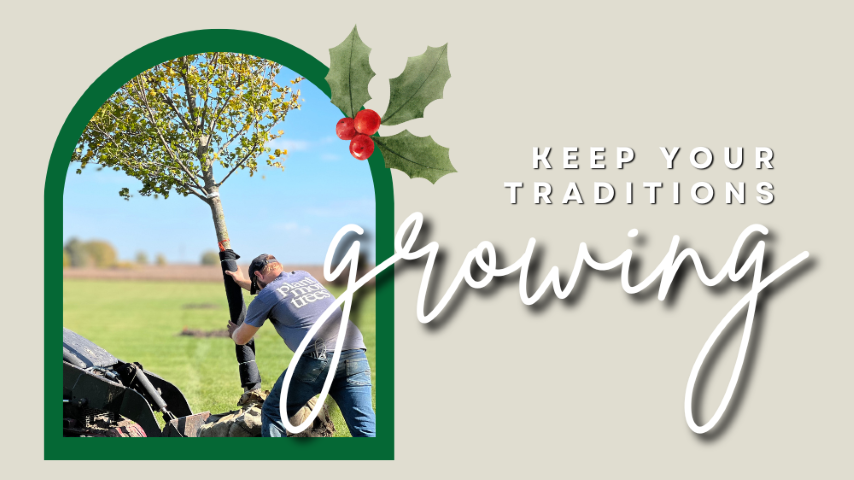 Give the Gift of a PLANTED Tree!