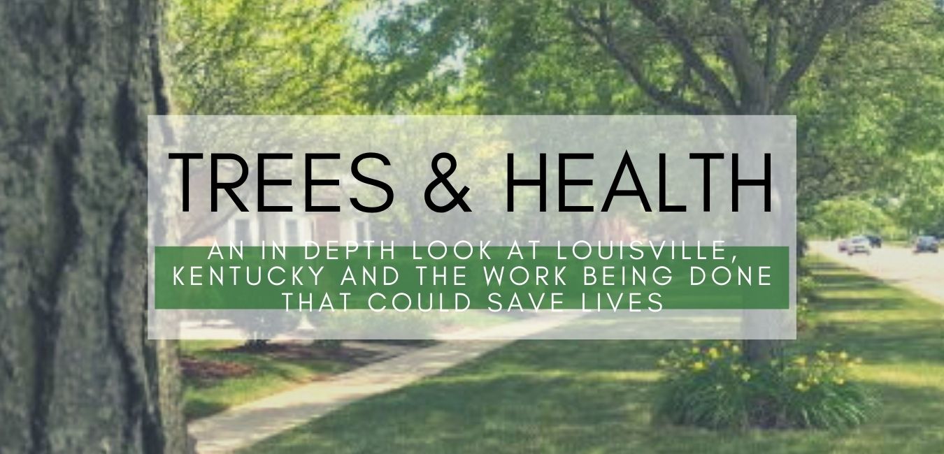 Trees & Health: An In Depth Look into the Work Being Done That Could Save Lives
