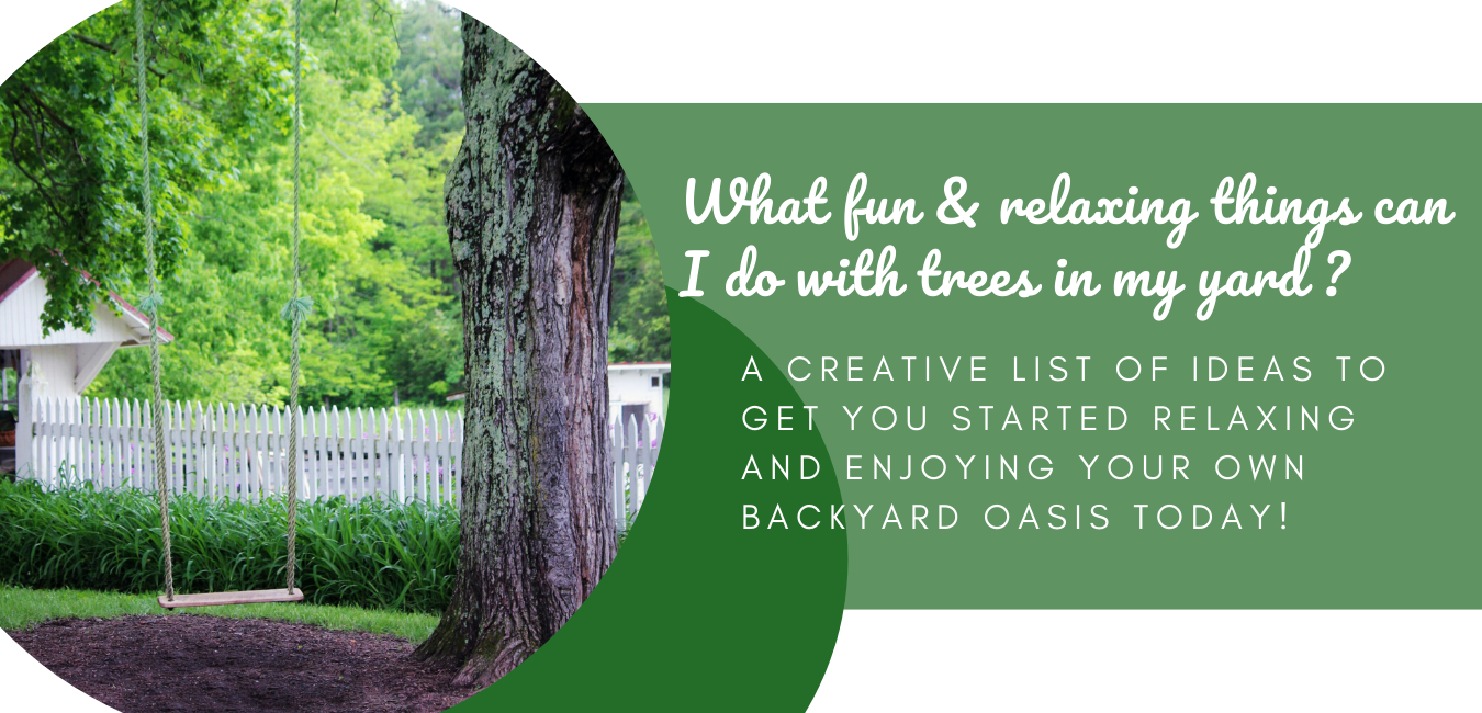 What Fun & Relaxing Things Can I Do With Trees in My Yard